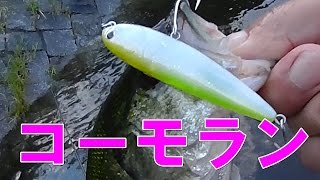 コーモラン・ファーストペンシルでブラックバスを釣る！低価格の高性能トップウォータープラグ！某メーカーペンシルベイトそっくり？！とりあえず、釣れてくれるので琵琶湖のおかっぱりで重宝します！