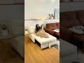 省スペース✨1人用ソファベッド｜ゆったり背もたれでお昼寝にも🛋️💤#sofa #sofabed #shorts #interior #省スペース家具