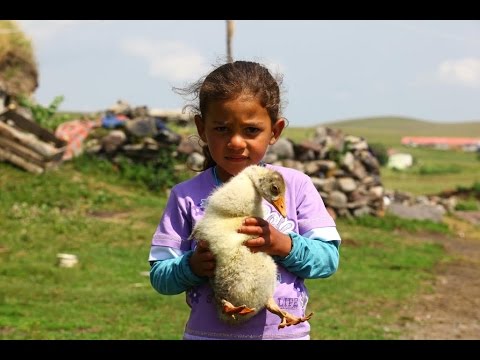 Kazın İzinde - Goose Culture In Turkey (Documentary)