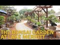 Bonsai Gardens : The Bonsai Garden at Lake Merritt