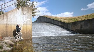 SECRET SPILLWAY = NEW Species!?!