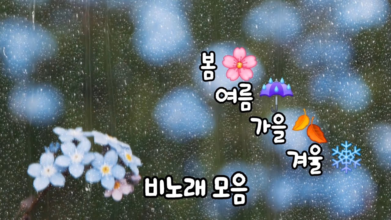 비 오는 날 듣기 좋은 노래 ☂️ 사계절 감성 트로트