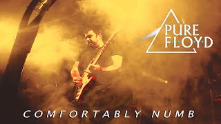 Pure Floyd - Comfortably Numb (Live at GT Yarmouth)