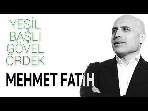 Yeşil Başlı Gövel Ördek - Mehmet Fatih