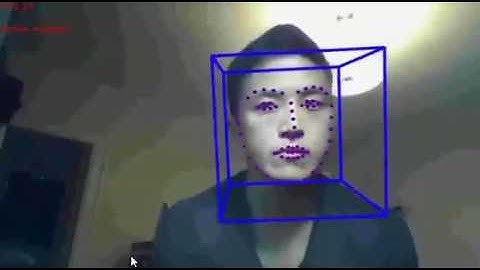 Human Head Pose Estimation - OpenFace Demo