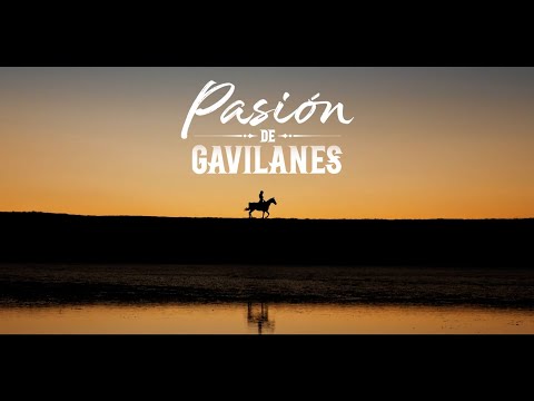 Intro/opening Pasión de Gavilanes (Temporada 2)