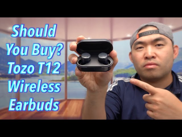 TOZO T12 Wireless Earbuds User Manual