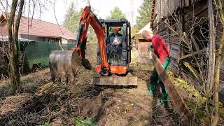 Vyčistenie starej záhrady bagrom .Grubbing and cleaning the old garden with an excavator .