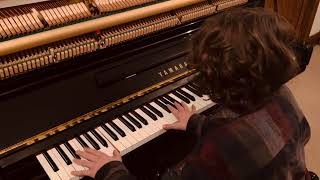 Video thumbnail of "The Lord of the Rings - Main Theme (Howard Shore) // Piano Pace (own arrangement)"