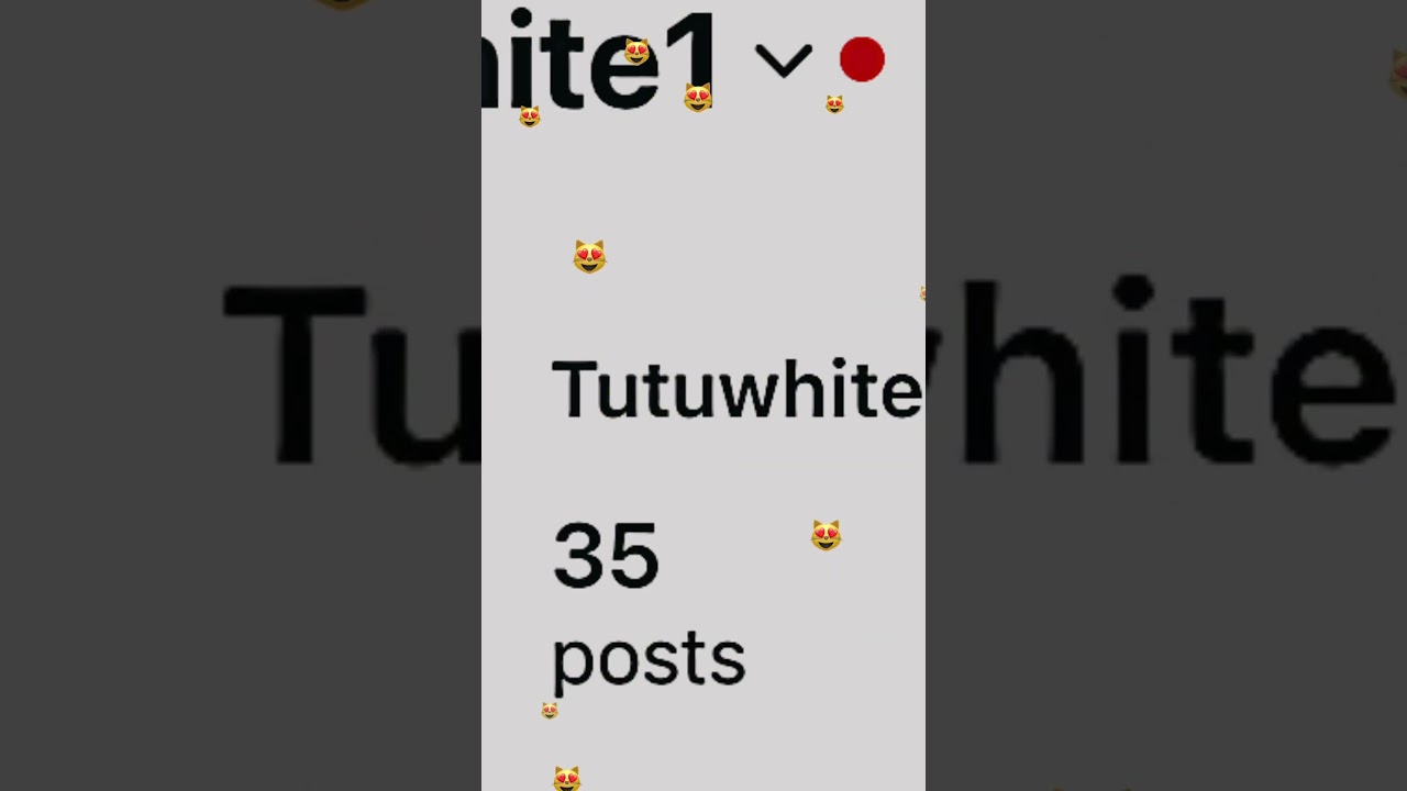 Go follow Snapchat I have two accounts  Sophia ￼ and Eve Own ￼￼ Instagram tutu white 1 ￼  YouTube ￼￼