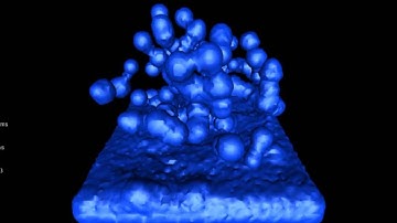 Marching Cubes Visualisation of SPH Fluid Simulation - (80^3)
