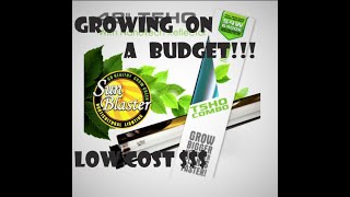 Closet Grow wk3 Budget grow!!