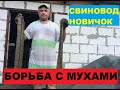 МУХИ! Что делать?! Борьба с МУХАМИ! Свиноводство.