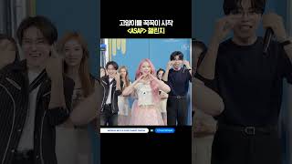 고양이들 꾹꾹이 시작 〈ASAP〉 챌린지 #MCOUNTDOWN #엠카운트다운 #STAYC #스테이씨
