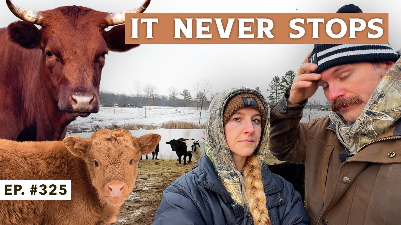 Youtube Ranch's No One Prepares You for This Part of Ranch Life - YouTube