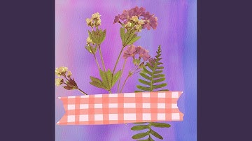 Lively Backdrops for Friendly Clouds