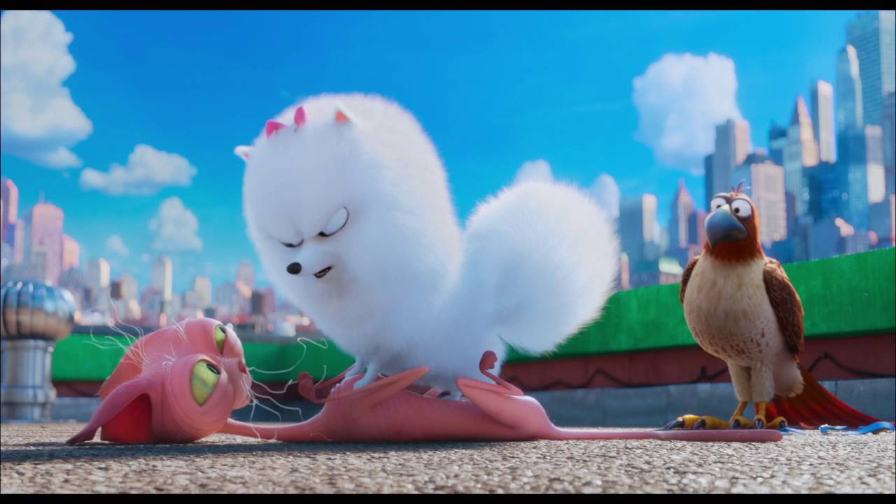 Comme Des Bêtes 3 Le Film Comme des bêtes - Bande-annonce 3 VOST - YouTube