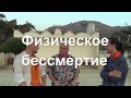 Физическое бессмертие