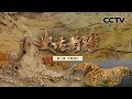 《史话新疆》第九集 尼雅遗址 | CCTV纪录