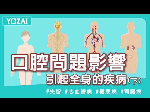 【牙周凝露】口腔病菌流向全身引起疾病（下）︱幸福牙醫診所 院長 鄭俊國醫師｜悠哉美健