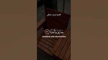 وكل شيء احصينه كتبا - القارئ : شريف مصطفى - سورة النبأ #شريف_مصطفى