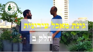 גינת מאכל מזינה בעיר - סרטון 2 מתוך 3