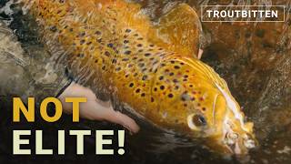 Fly Fishing Elitists - Enough Already