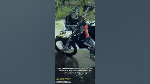 setory wa || Herex banyuwangi