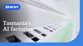 AI 'factories' being built on island state Tasmania | ABC NEWS