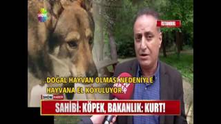 Sahibi: Köpek, Bakanlık: Kurt!