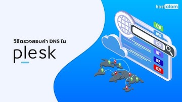 วิธีตรวจสอบค่า DNS ใน Plesk