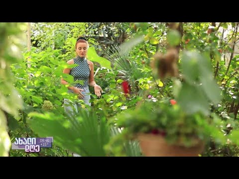 რუბრიკა „მცენარეების მეგობარი“ ლაგოდეხს ეწვია