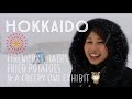 Hokkaido! Fireworks, baths, fried potatoes, and a creepy owl exhibit! | Japan Travel Vlog