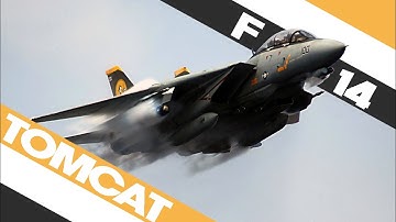 F-14 Tomcat: Badass to the Core