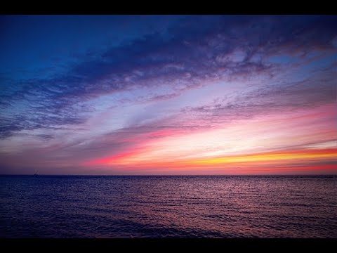Smooth Ocean sound with Ocean birds