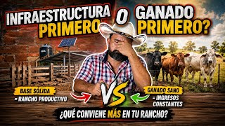 Infraestructura Primero o Ganado Primero Es OBLIGATORIO Construir Antes de comprar Los Animales?