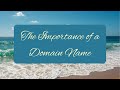 The Importance of a Domain Name for a Professional Website | Web Designer for Charleston Businesses