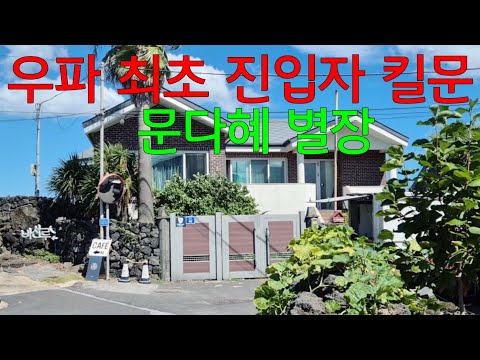 문다혜별장 최초 진입자 킬문 문다혜 털려서 떠나나?