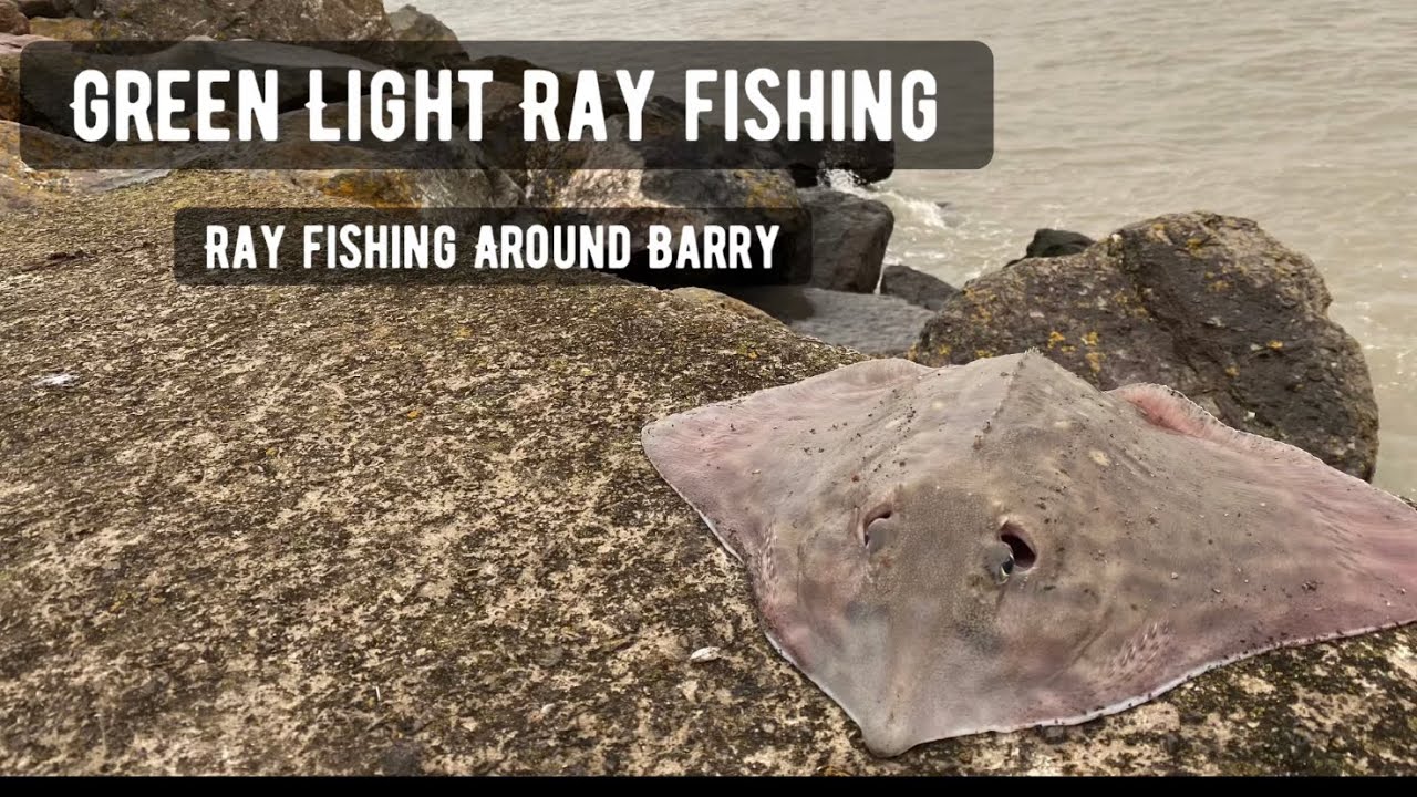Рыбалка на скатов вокруг Барри — Зелёный свет