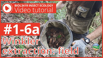 1 6a Using Winkler extractor - field part