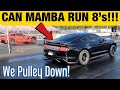 MAMBA's Fastest Pass EVER! Stock Motor VMP 2018 Mustang Tries for 8's in the 1/4 mile!