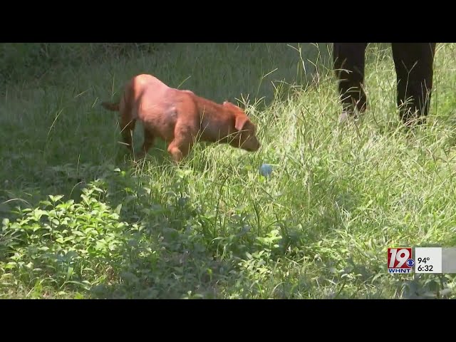 Staying Safe in Extreme Heat | June 29, 2026 | News 19 at 6:30 p.m.