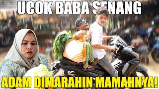 GARA-GARA DISURUH BELANJA KEPASAR ADAM DAN PAPA KENA MARAH!!