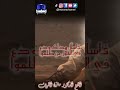 الشيخ الدكتور مازن الشريف هذا علي وهذا السيف والقلم