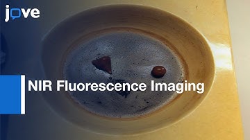 NIR Fluorescence Imaging: Tissue-Stimulating Phantoms in Breast Cancer | Protocol Preview