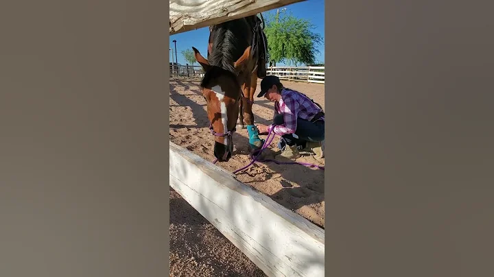 leg wraps first time