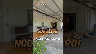 chú tư đuối quá bán nhà vườn 3000 m ở Long An