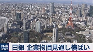 日銀 企業物価見通し横ばい