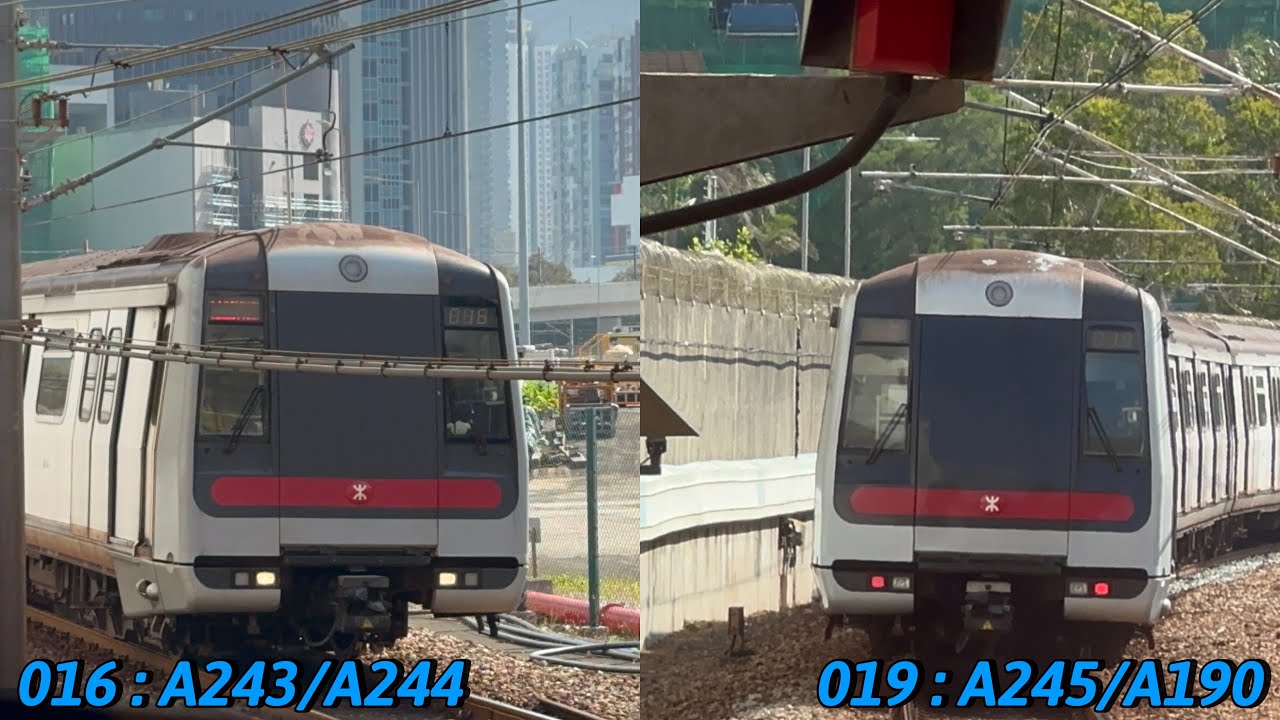 ［243 244假2C客串藍線］港鐵MTR港島綫M-Train A243/A244駛入杏花邨站2號月台（異線車）+港島綫M-Train A245/A190駛入+駛離杏花邨站1號月台￼￼￼