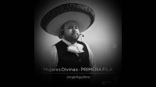 Mujeres Divinas (cover) Vicente Fernández